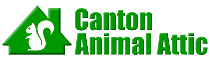 Canton
 Animal Attic